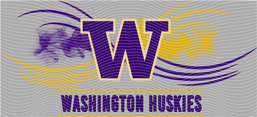 16oz Latest Bestseller-C 6004